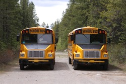 School Bus in Canada