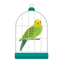 Green Parakeet Vector Image - Free Stock Photo by maa illustrations on ...