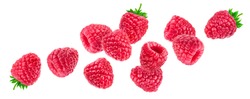 Raspberry isolated on white background with clipping path, falling raspberries, collection