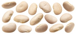 White bean collection isolated on white background with clipping path close up
