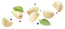 Falling peeled garlic cloves isolated on white background with clipping path