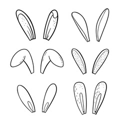 Doodle Easter bunny ears set. Vector illustration isolated on white background.