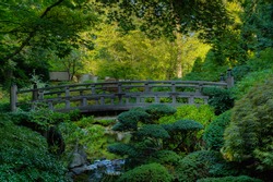 Japanese garden wood bridge surrounded by green foilage in hdr