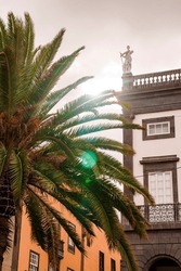 Low angle view of palm tree and statue on top of railing of historic building with sky in the background on a sunny day at Las Palmas in Gran Canaria island, Spain