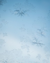 ice flowers on window in winter