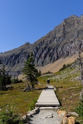 Boardwalk on Hidden Lake Overlook Trail, Glacier National Park, Montana, Summer