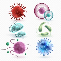 Realistic 3d microscopic viruses and bacteria isolated vector set. Microscopic cell illness, bacterium and microorganism illustration