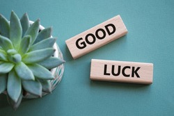 Good luck symbol. Wooden blocks with words Good luck. Beautiful grey green background with succulent plant. Business and Good luck concept. Copy space.