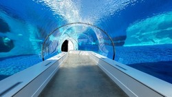 Underwater tunnel at an aquarium.