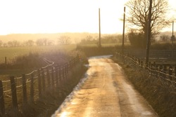 UK country lane in late afternoon during winter with orange sunshine over fields and wet lane atmospheric