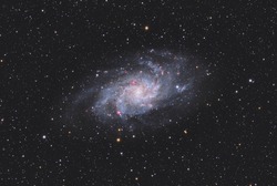 M33 Triangulum is the third largest galaxy in the Local Group, after Andromeda and the Milky Way. It doesn't look like a spiral galaxy because it's under the gravitational pull of Andromeda.