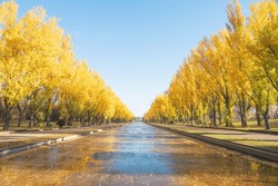 Scenery dyed in the autumn leaves of Sapporo