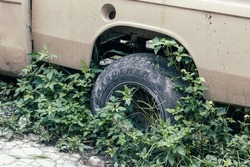 Abandoned old car rear tires with tall and wild grass