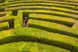 Green bushes labyrinth, hedge maze. Woman with red bag search the exit