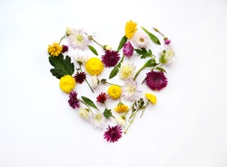 Heart made of flowers on white bright background, flat lay, top view. Spring concept. Pattern