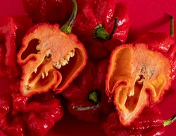 Habanero peppers on red background on table, hot spicy habanero peppers