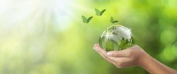 environmental conservation earth concept, woman holding globe under leaf and butterfly flying nearby, earth in woman's hand green bokeh background and white light