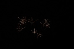 Exploding Fireworks in the dark night sky