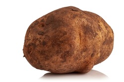 Dirty potatoes in clods of soil on a white background