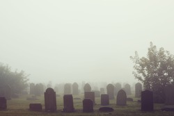 View of old cemetery park in the mist, vintage filter