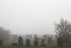 View of old cemetery park in the mist