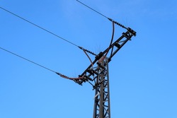 A three phase power line pylon terminates into a ground cable with anti bird spikes on top and red insulated cables being transferred downwards. Set against a blue, clear sky.