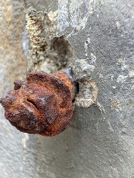 rusty iron bolts on the walls. Macro photography