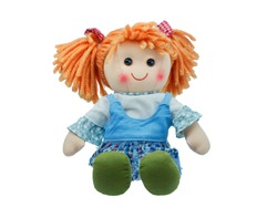 Sit and smiling cute rag doll isolated 