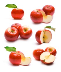collection of ripe red apples