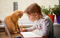 Educate at home. Child girl make homework with pet cat. Funny ginger kitten sitting on table where kid is writing. Back to school. 