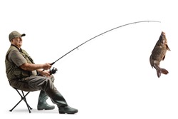Fisherman sititng on a chair and catching a big carp fish isolated on white background