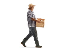 Full length profile shot of a mature farmer carrying a crate and walking isolated on white background