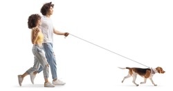 Full length profile shot of a boyfriend and girlfriend walking a beagle dog isolated on white background