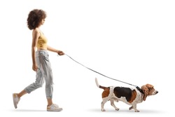 Full length profile shot of a young female walking a basset hound dog on a lead isolated on white background