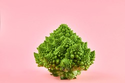 Romanesco broccoli or Roman cauliflower, a type of cauliflower. Isolated on a pink background.