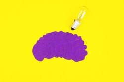 Human brain within Light bulb symbolise brilliance, ideas, and intelligence. Neurons are responsible for processing and transmitting information through chemical and electrical signals