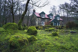 An abandoned cottage in the woods, Isle of Mull, Scotland. 