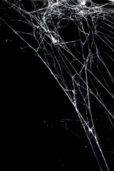 spider web,halloween background