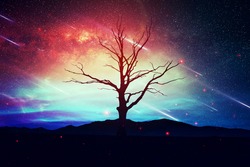 Lonely tree on a blue pink natural backdrop, in a starry night with stars falling from sky, valentines day fantasy background, artistic design raster illustration.