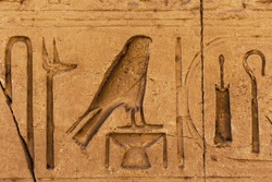 egypt hieroglyphs bird. Egyptian hieroglyph close-up, symbols of Horus, Anubis Staff
