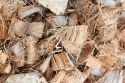 The blurred background in the image is a textured pile of coconut flakes, or husks, the natural fibers that form the outer shell of the coconut.