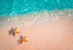 Two starfishes on the soft white sand beach in clear sea water. Summer background. Summer time.Copy space. Honeymoon on the tropical island.Relaxing on the beach. 