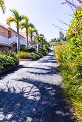 Sunny shaded tropical street tropic foliage plants pink resort buildings road palm trees hiking tourism travel photography