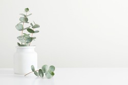 Green eucalyptus leaves in vase on white table. Front view. Place for text, copy space, mockup