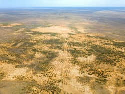 Aerial view on steppe landscape small bushes and other vegetation. Parched salt marsh. Desert dry landscape.