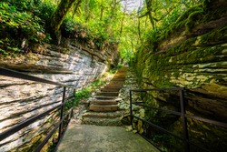 Stone stairs in mysterious forest. Walk path trail for hiking tours.