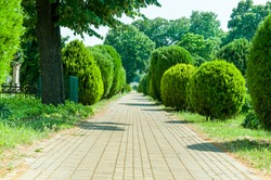 Brick path in cemetery with green bushes, trees and gate in the distance. 