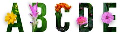 Floral letters. The letters A, B, C, D, E are made from colorful flower photos. A collection of wonderful flora letters for unique spring decorations and various creation ideas. clipping path