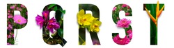 Floral letters. The letters P, Q, R, S, T are made from colorful flower photos. A collection of wonderful flora letters for unique spring decorations and various creation ideas. clipping path