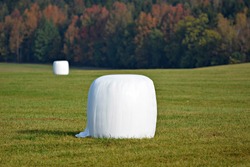 Hay bales on the meadow for horses